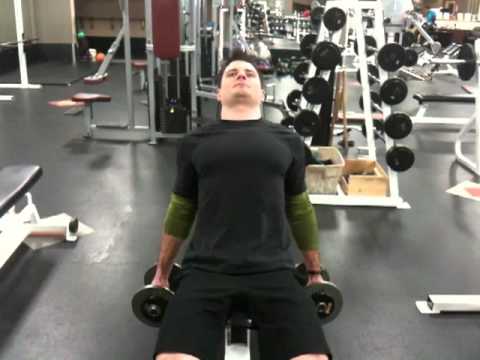 Dumbbell hammer curl