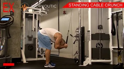 Standing Cable Crunch