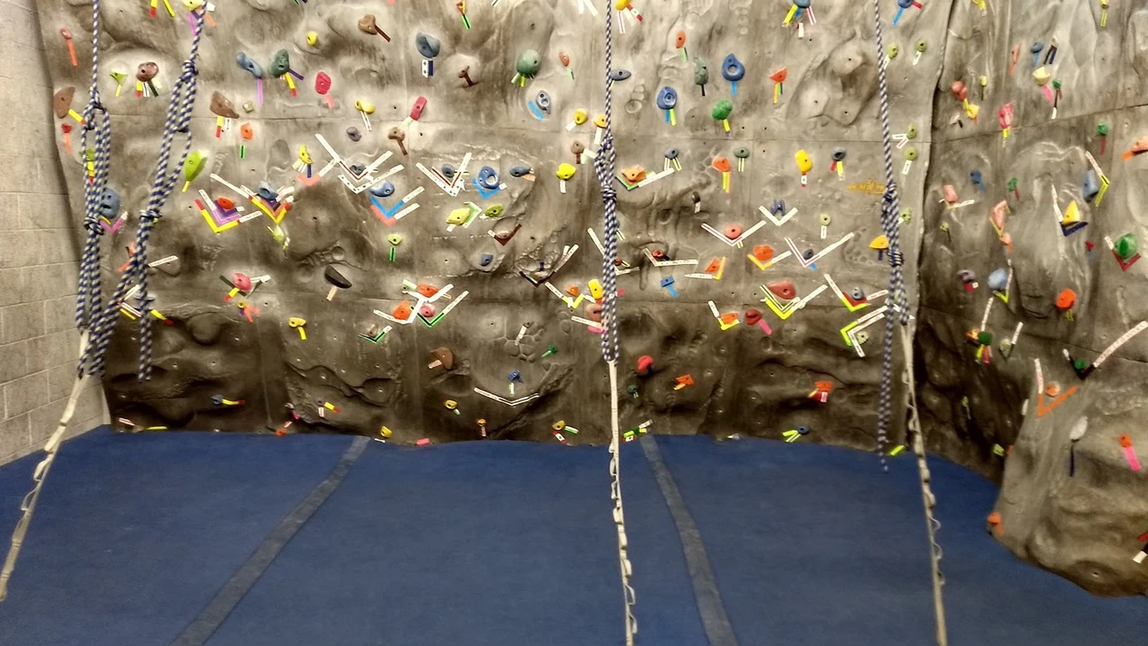 Photo 4 of Sarkeys Fitness Center