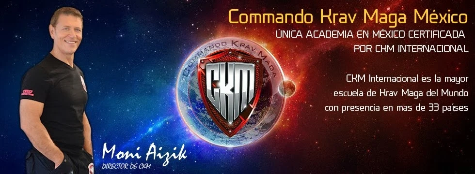 Photo 4 of Commando Krav Maga Mexico