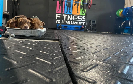 Fitness You Can Live With - Gym in Howell