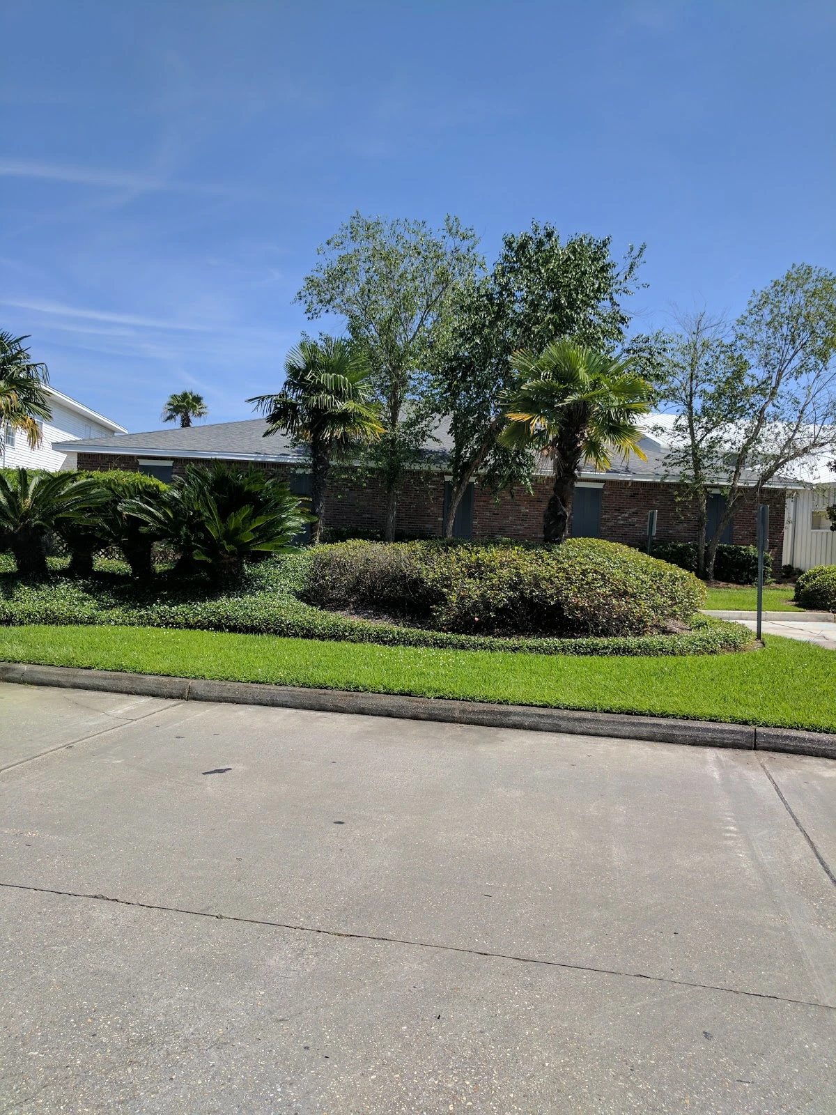 Photo 3 of Pelican Athletic Club