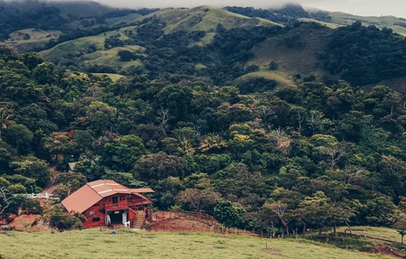 finca madre tierra