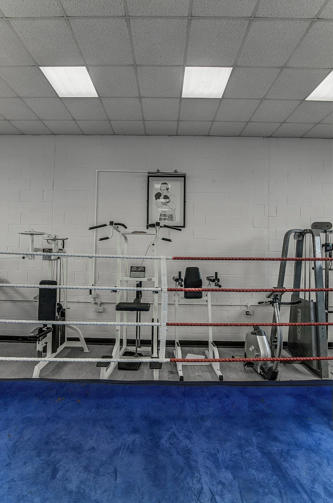 Photo 7 of Rotunda abc Liverpool