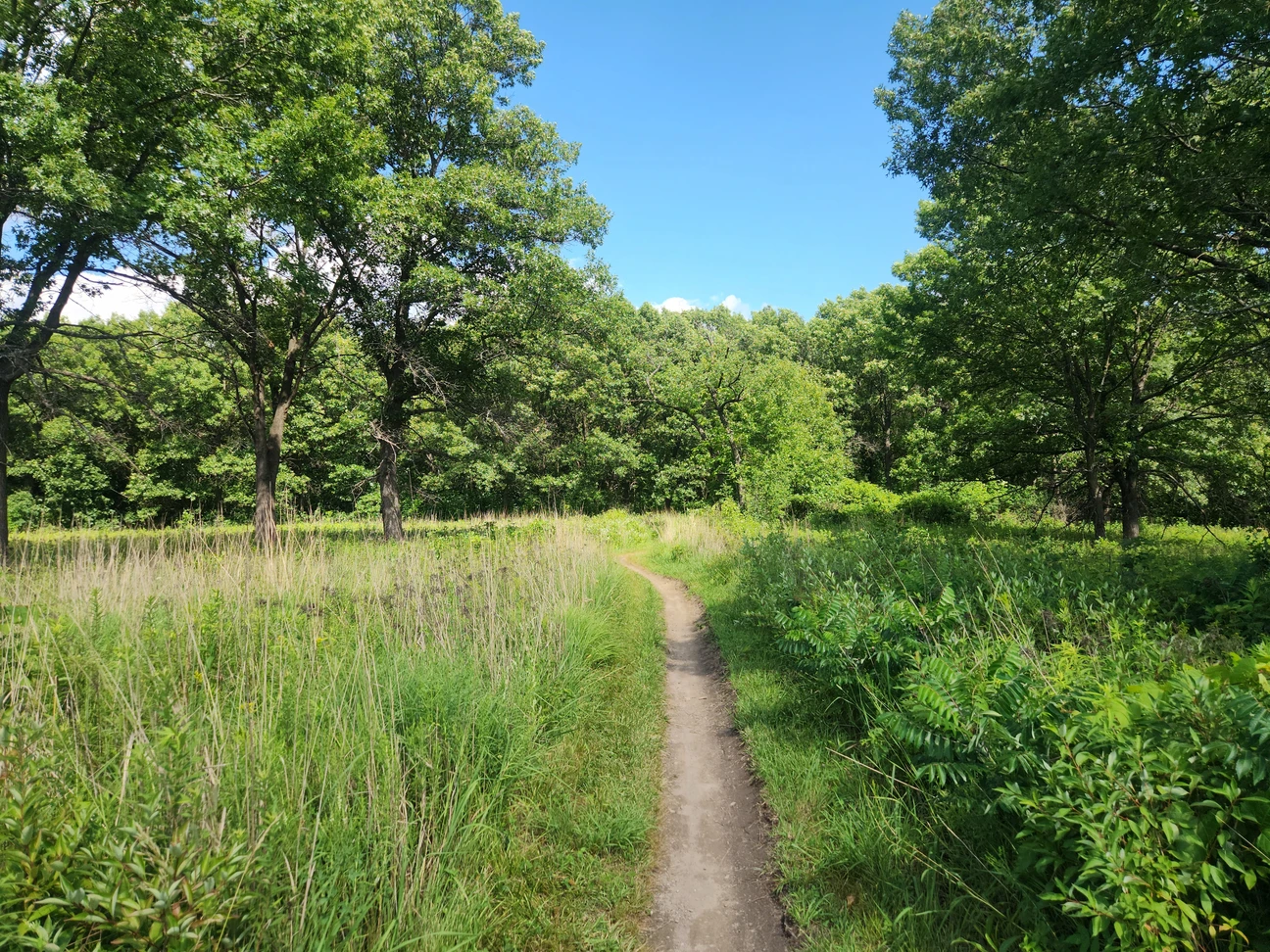 Photo 2 of Red Gate Access To Idlewild Trails - Gym in Willow Springs