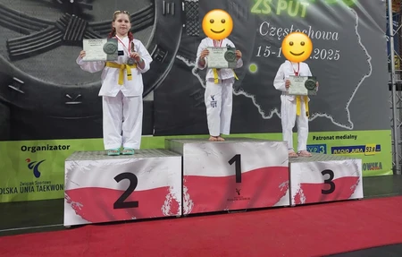 Taekwondo Class At Your Homeofficecompany
