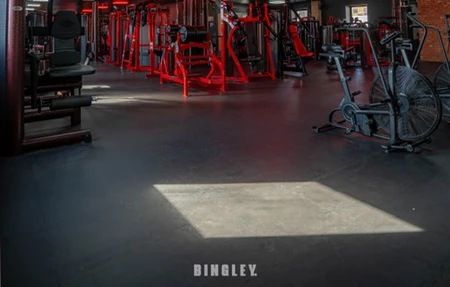 Ab Salute Gym