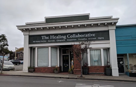 The Healing Collaborative