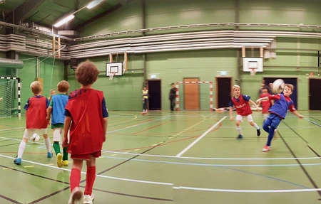 Actic Vikingahallen