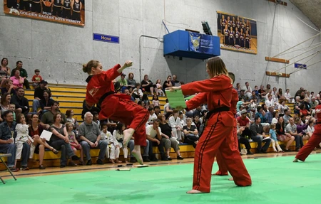 USTA Martial Arts-Lynden