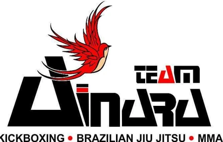 Ainara Team Bjj,mma,kickboxing