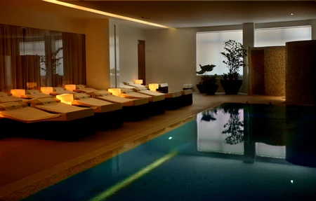 WellDomus Fitness and Spa Services