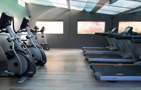 Palestra Elysium