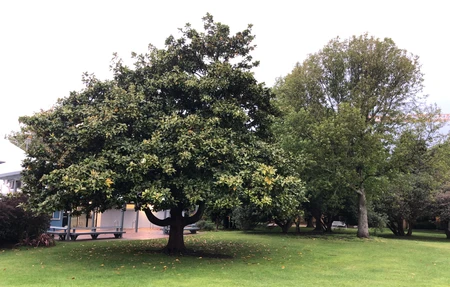 East Coast Bays Leisure Centre - Gym in Auckland