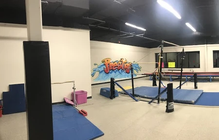 Prestige Gymnastics