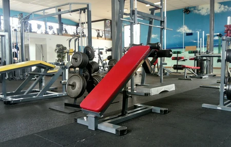 Odyssee De La Forme