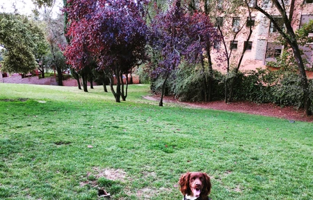 Parque De Los Perios