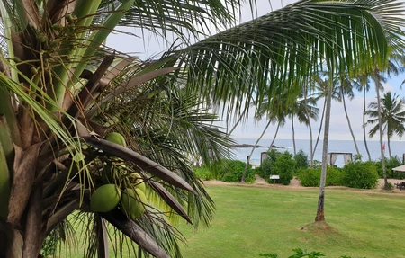 Anantara Tangalle Resort Gym