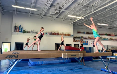 Premier Gymnastic Academy - Gym in Downers Grove