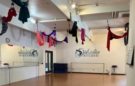 Ophidia Studio - Gym in Boise