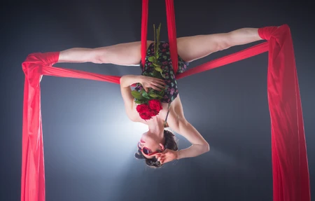 Wolanskis Pole And Aerial Fitness