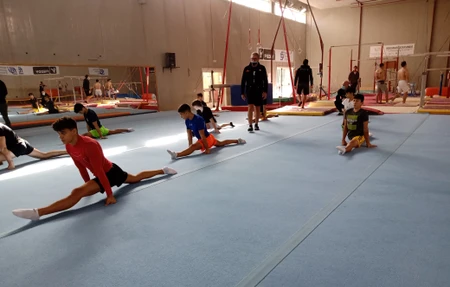 Gymnastics Federation of Italy