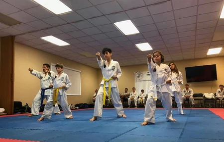 Tae Kwondo Dragon Vizcaya - Gym in Miami Shores