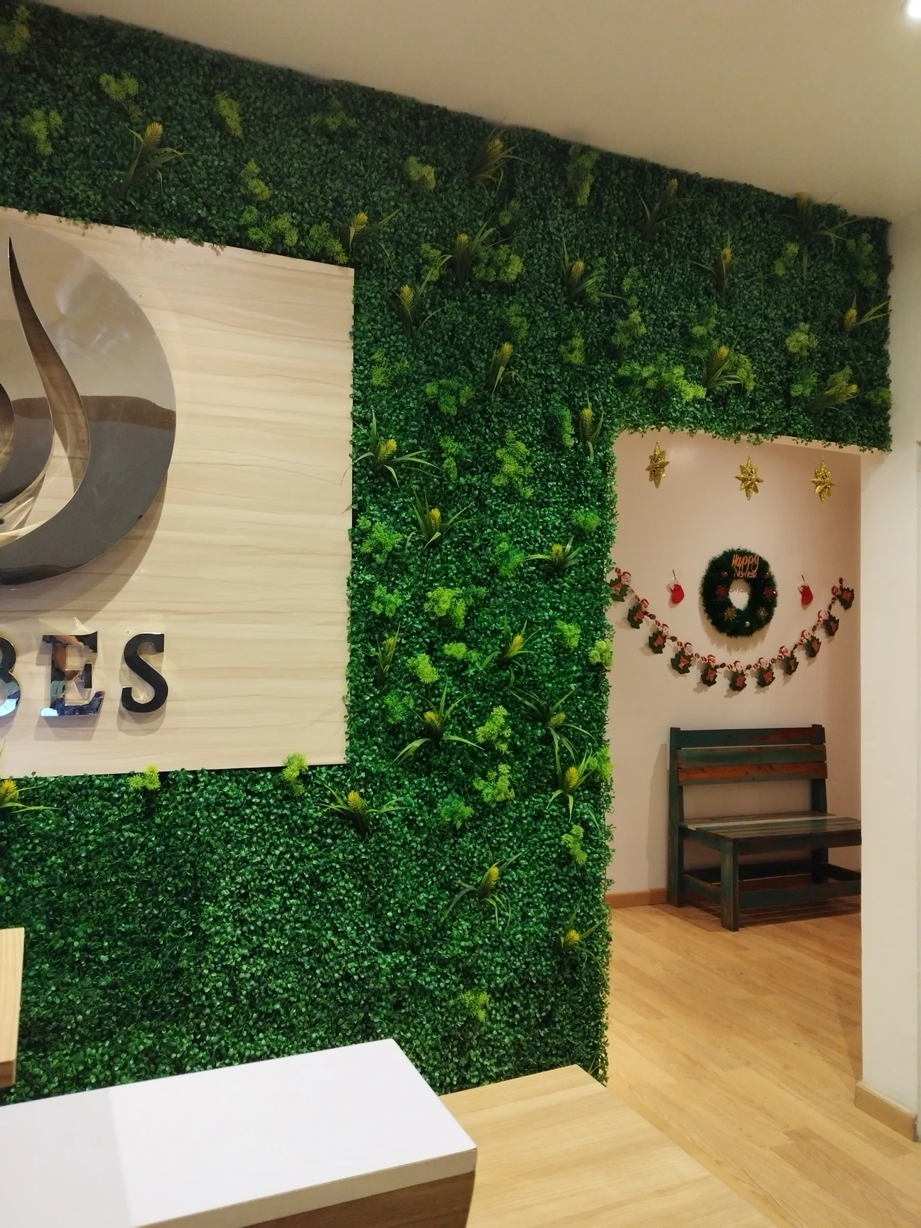 Photo 5 of VIBES Ladies fitness