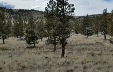 Lower 66 Trailhead - Gym in Prineville