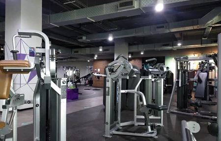 Celebrity Fitness