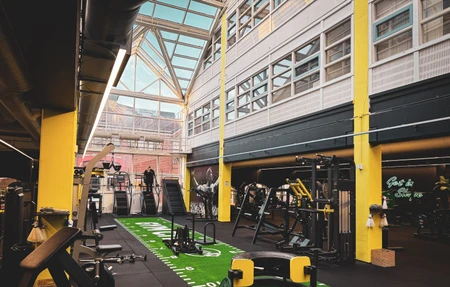 Gymbox Moss