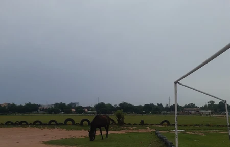 Race Course Play Ground
