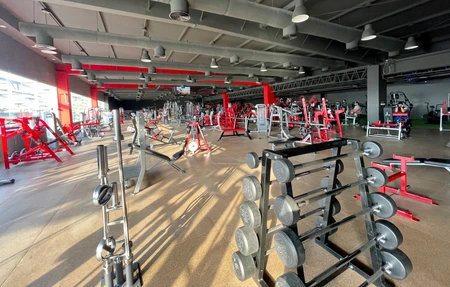 Iron Man Gym