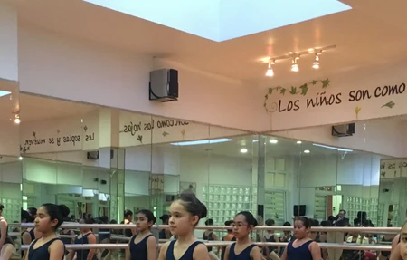 Academia Attitude
