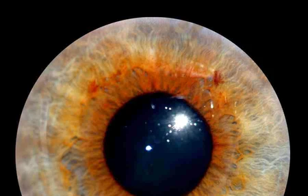 チベタンパルシングヨガ Ati