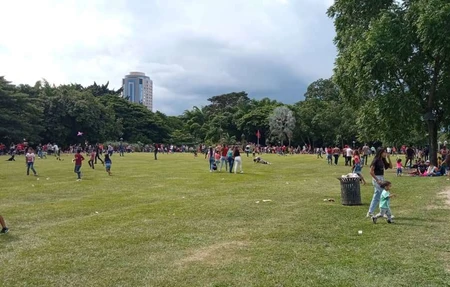 Parque Fernando Penalver