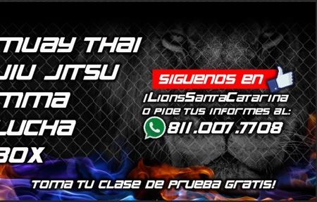 Lions Santa Catarina Centro
