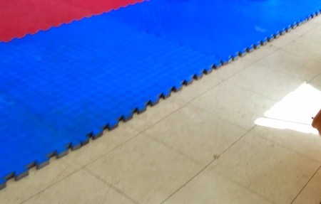 Team Fearless Academy of Martial Arts Taekwondo