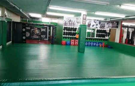 Olimpo Academy - Zorro Marroquin Team - Taekwondo, MMA, JiuJitsu, Box