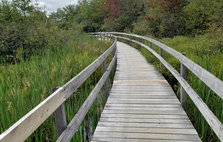 Freshwater Trail