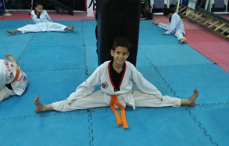 tigers school