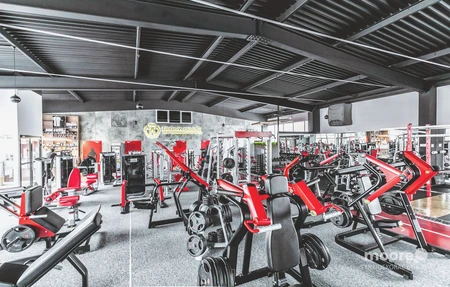 Iron Gym