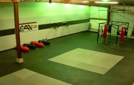 The Fight Lab by Lee Bros