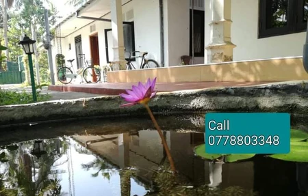 Yoga School - Negombo