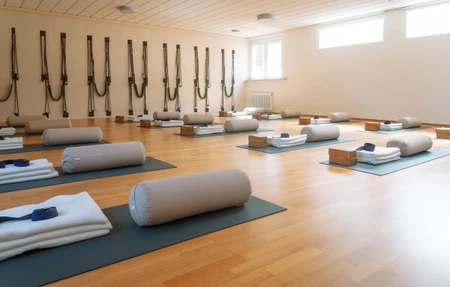 Iyengar Yoga Bewegt - Gym in Emmendingen, Germany