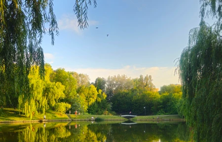Park Moczydło