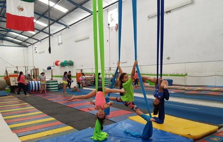 Mat - Gym
