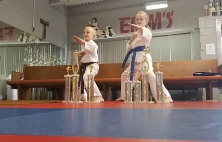Ekims Karate Kickboxing And Mma