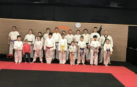 vulcan sport karate club