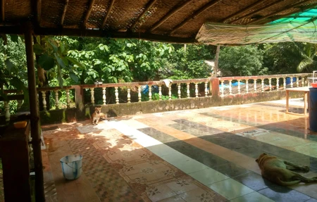 Agonda